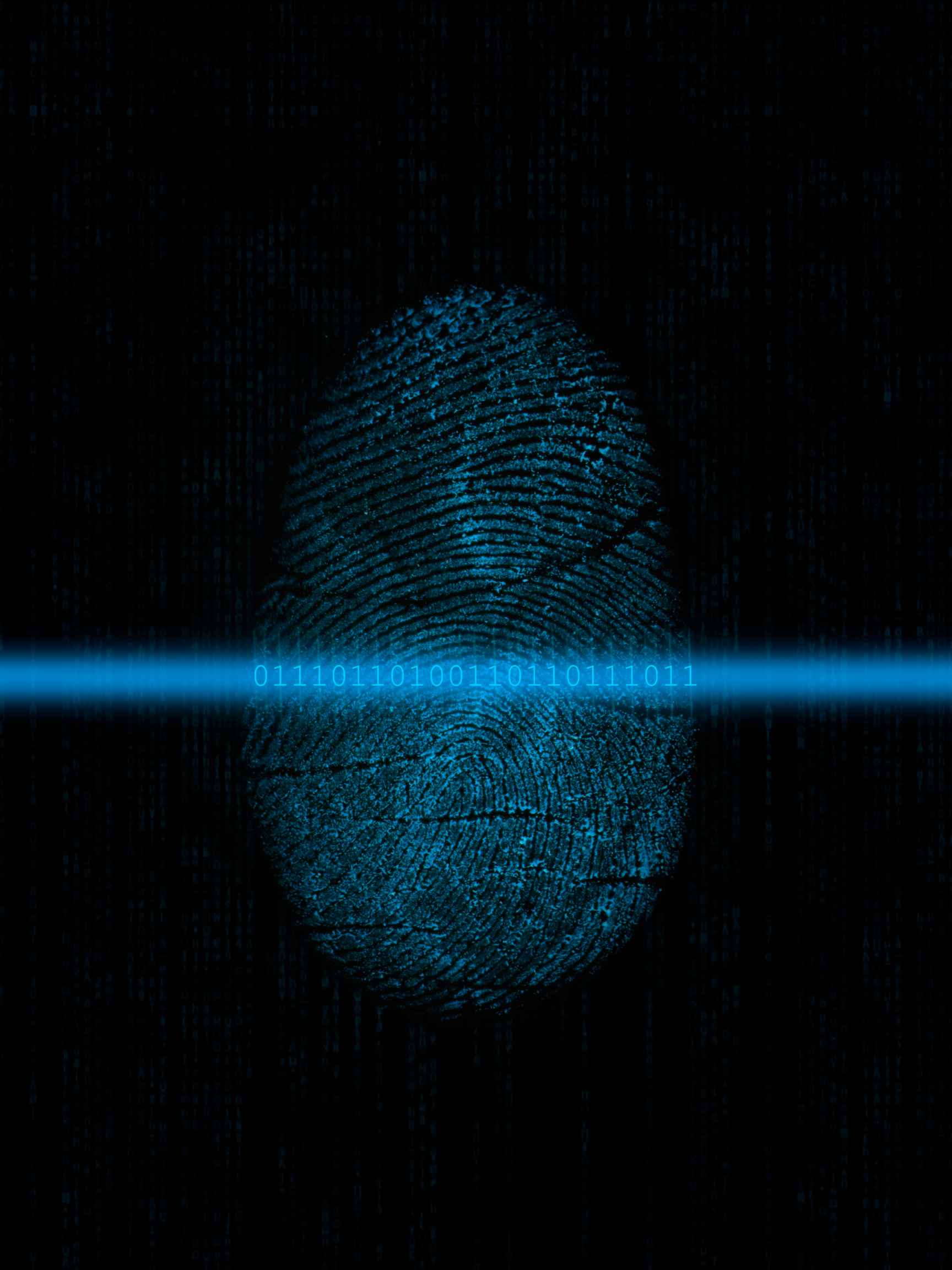 Biometric In Cars